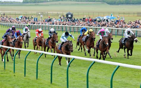 1000 Guineas Betting Guide, Odds, Tips & Free Bets .